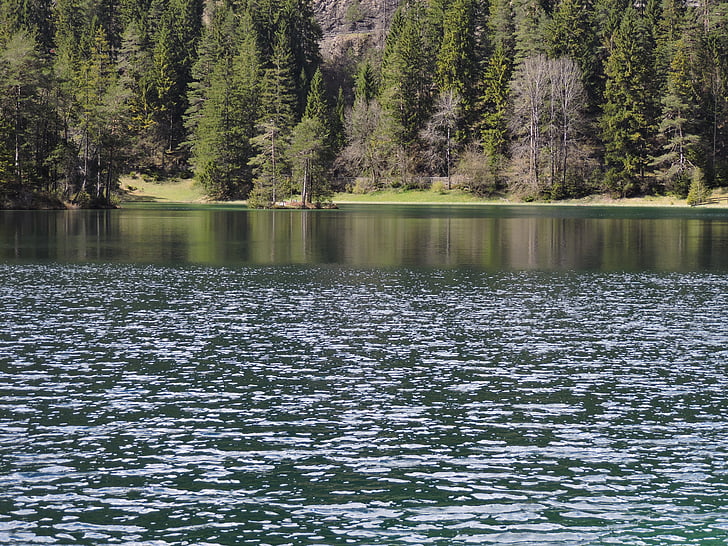 fernsteinsee, water, green, lake, trees