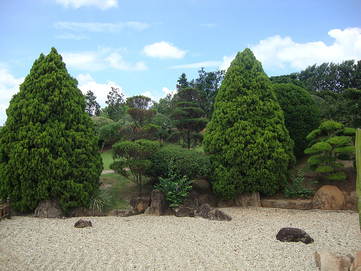 landscape, tree, nature