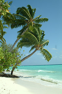 Мальдивские острова, Пальма, пляж