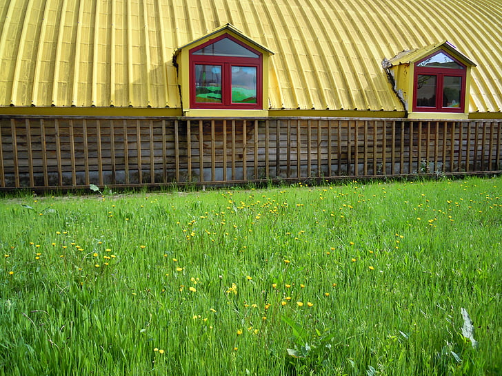 graner, barraca, cobert, casa de camp, sostre, verd, herba