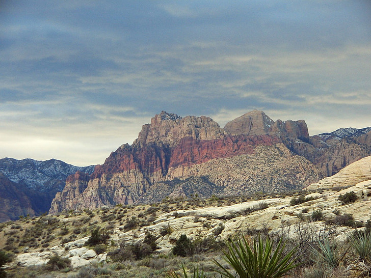 Kırmızı, kaya, kurak, çöl, dağ, kaktüs, Nevada