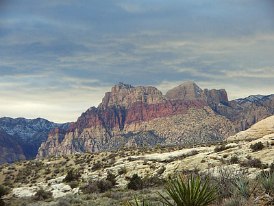 rood, Rock, aride, woestijn, berg, Cactus, Nevada