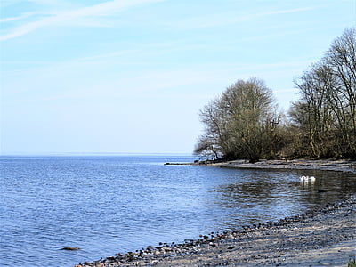 jūra, ežeras, Danijos Baltijos jūros pakrantėje, mažai įlankoje, akmeninis underground, ramus ežeras, gulbės