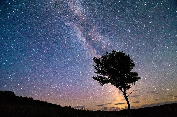 Млечния път, звезди, дървен материал, astrofotografi, лято, нощ, тъмнината