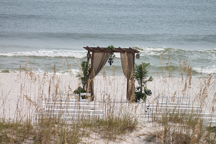 Beach, bryllup, ornament, dekoration, planter, natur, bænke