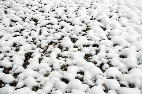 sneh, zasnežené, ročné obdobia, biela, Tapeta, zimné, pekný