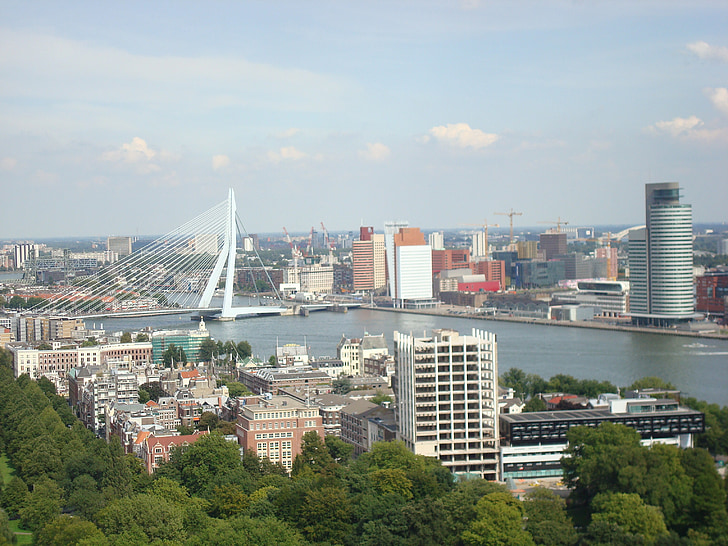 Rotterdam, most Erasmus, Stadt