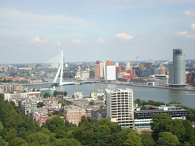 Rotterdam, Erasmus-broen, Stadt