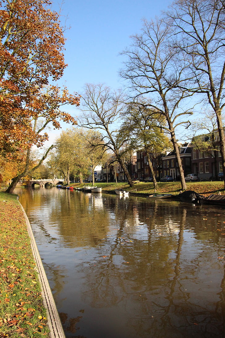 autunno, canale, acqua, ambiente, fossato, canali