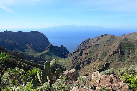rèptils de la, Illes Canàries, illa, Tenerife, vacances, paisatge, Espanya