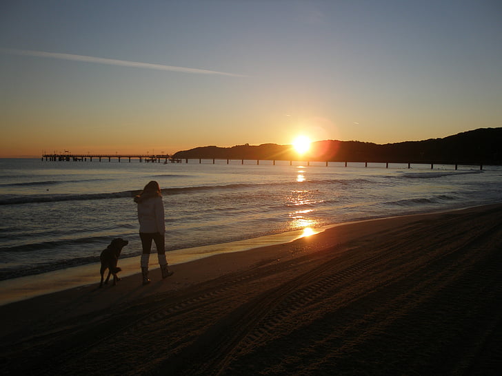 日の出, バルト海, 海, 徒歩, 犬, ビーチ, 海岸