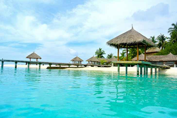 Malediivit, kookospähkinä puu, Sea, Resort, kesällä, Holiday, taivas