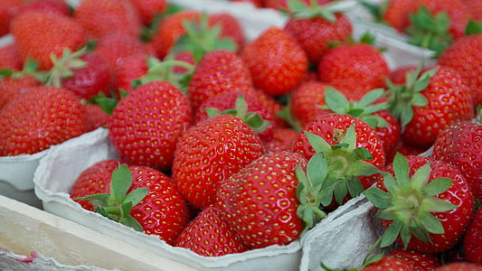 딸기, 딸기, 과일, 닫기, 먹으십시오, 달콤한, 과일