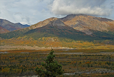 alaska, tundra, wilderness, mountain, forest, trees, landscape