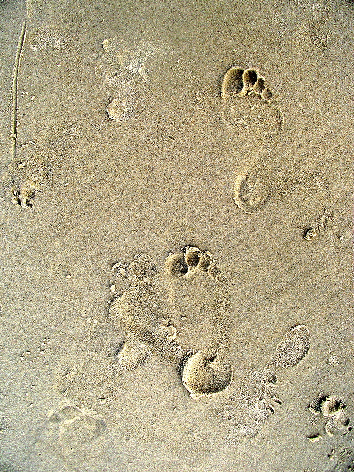 dấu chân, dấu chân, Bãi biển, dấu vết, nước, tôi à?, Cát