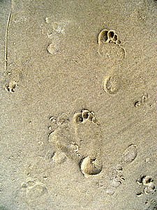 fotspår, fotavtryck, stranden, spår, vatten, havet, Sand