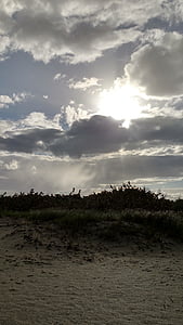 海滩, 沙子, 沙丘, 太阳, 佛罗里达州, 自然