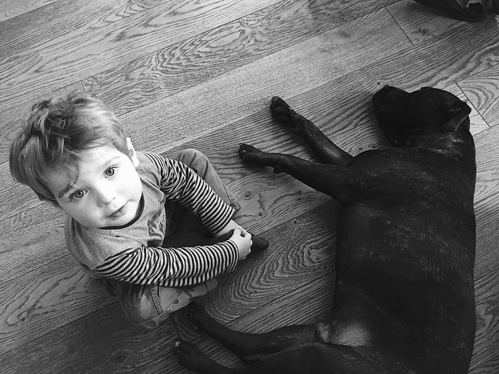 dog, toddler, pet, cute, child, boy, black And White