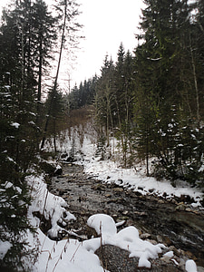 winter, river, nature, snow, landscape, water, trees