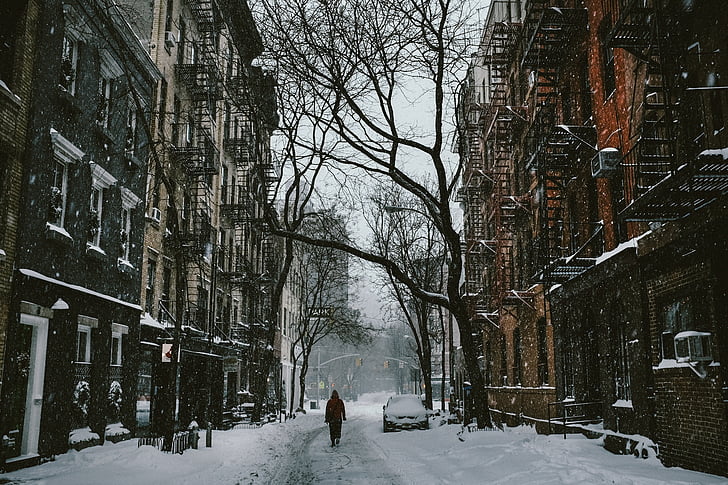 iela, persona, staigāt, sniega, ziemas, auksti, ledus