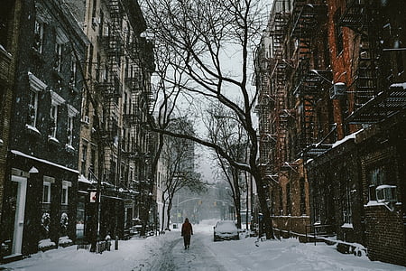 Street, isiku, jalutuskäigu, lumi, talvel, külm, jää