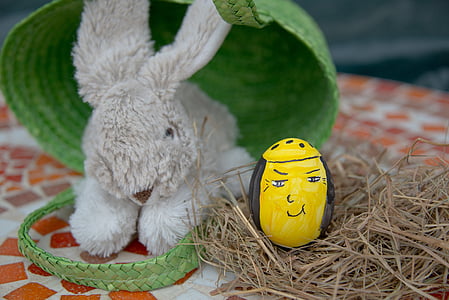 quả trứng, Lễ phục sinh, chú thỏ Phục sinh, đầy màu sắc, màu sắc, Sơn, tùy chỉnh