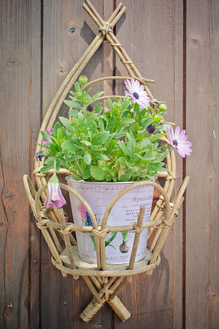 flowerpot, purple daisies, decoration, wall decoration, reed körbchen, flower box, deco