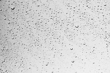 Zdjęcie, wody, krople, deszcz, krople deszczu, tła, upuść