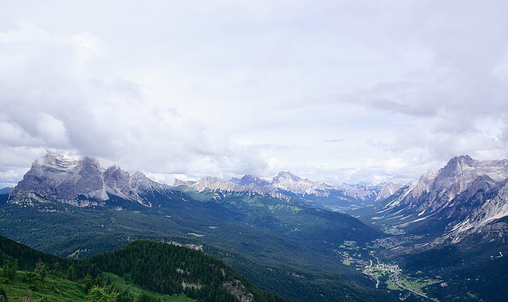 Alpine, nube, niebla, bosque, alta, alto ángulo de tiro, caminata