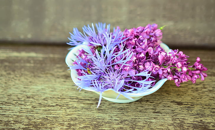 purple, pink, floral, centerpiece, flowers, Flower Bowl, Wood
