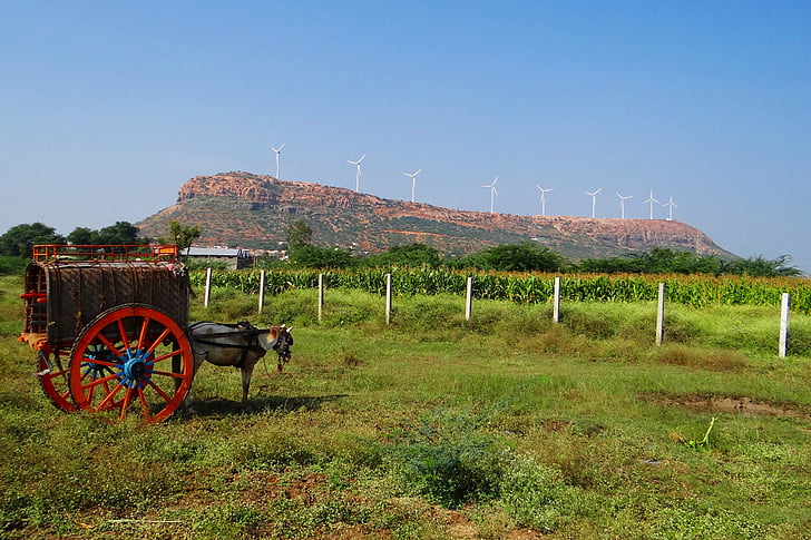 Nargund colina, carrinho de cavalo, turbina de vento, Karnataka, Índia, paisagem, cenário