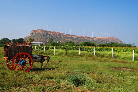 nargund hrib, konj voziček, vetrne turbine, Karnataka, Indija, krajine, kulise