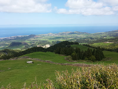 Azorerna, landsbygd, Portugal, naturen, grön