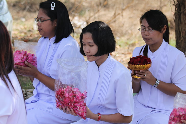 buddisti, donne, donna, Buddismo, a piedi, Tailandese, persone