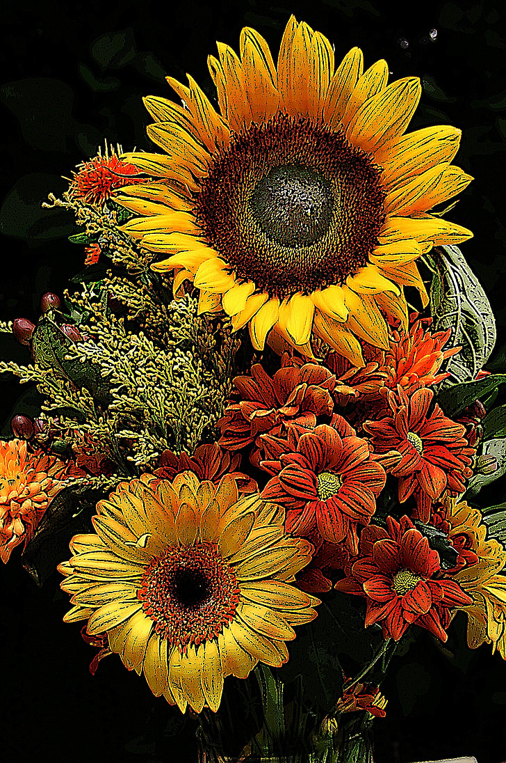 цвете на слънчоглед, цвете, слънчоглед, жълто, естествени, растителна, цветя