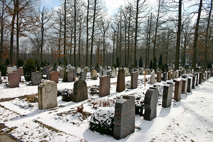 Friedhof, Woodland Friedhof, Wald, Baum, Gräber, friedliche, Ruhestätte