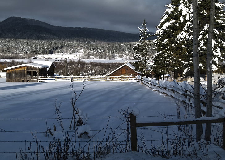 hiver, paysage, Canim lake, Colombie-Britannique, Canada, neige, météo