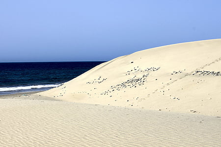 Maspalomasas, Gran Kanarija, paplūdimys, Ispanija, Kanarų salos, vasaros, kraštovaizdžio