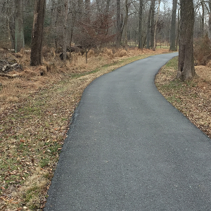 path, hike, trail