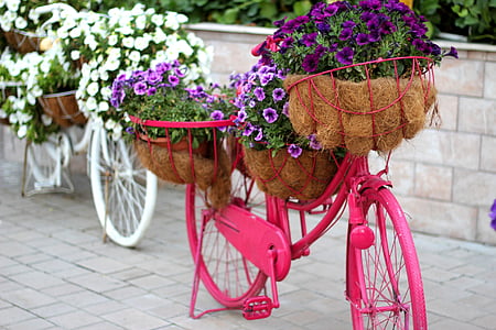 blommig cykel, trädgård, dekoration, Förenade Arabemiraten, Dubai miracle garden, stil, design