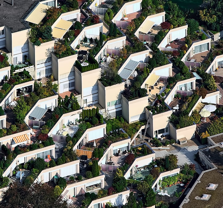 aerial, view, houses, green, plant, nature, outdoor