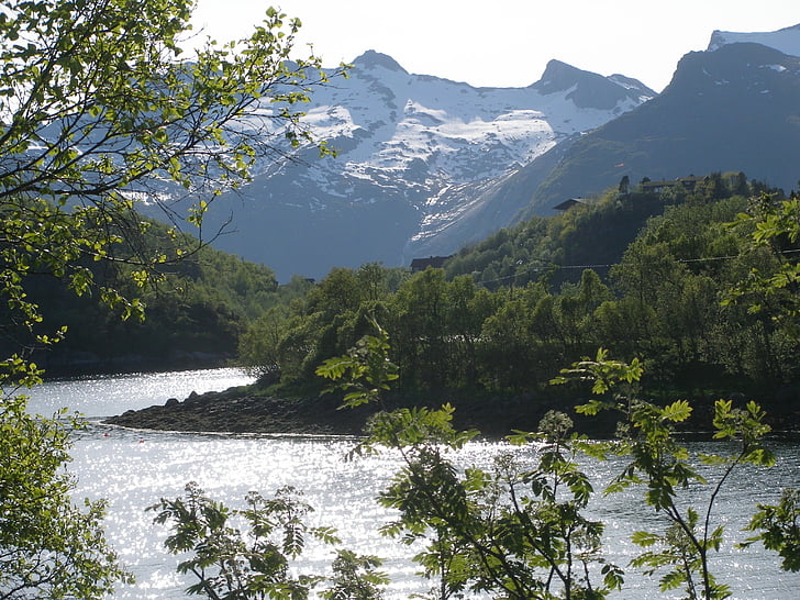 Lofoten, Norvège, paysage, montagnes, rivière, vue, nature