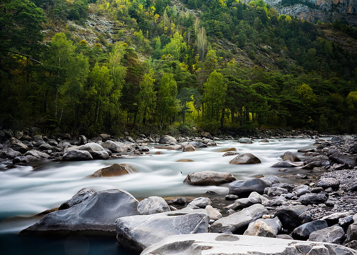 stream, water, rocks, nature, river, green, trees