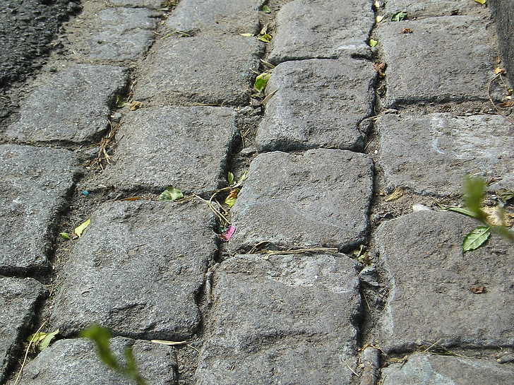 rua, adoquin, textura, piso, pedras de pavimentação, solo, caminho