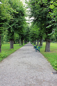 парк, далеч, банка, авеню, дърво, дървета