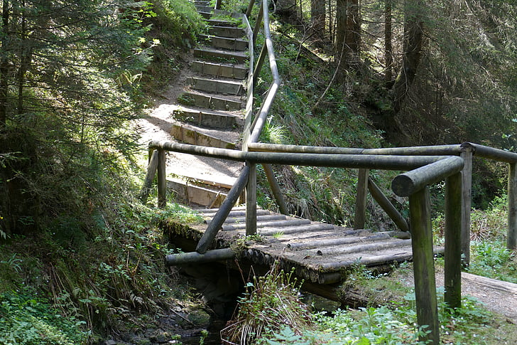 мост, дървен материал, стар, grumbach езеро, гора
