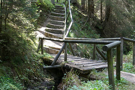мост, дървен материал, стар, grumbach езеро, гора