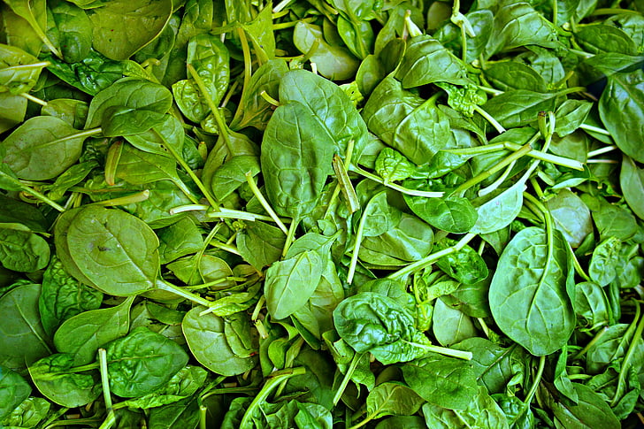 spinach, vegetable, fresh vegetable, food, nutrition, vitamin, mineral