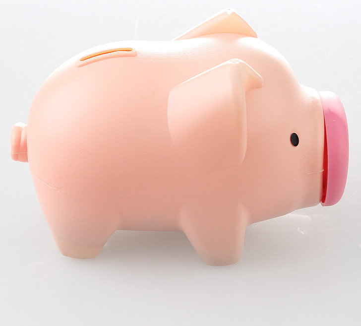 pig, piggy bank, the money bin