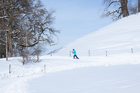 lange läuferin, Trail, berg, bomen, hemel, blauw, sneeuw